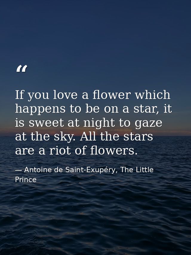 If you love a flower which happens to be on a star, it is sweet at night to gaze at the sky. All the stars are a riot of — Antoine de Saint-Exupéry, The Little Prince