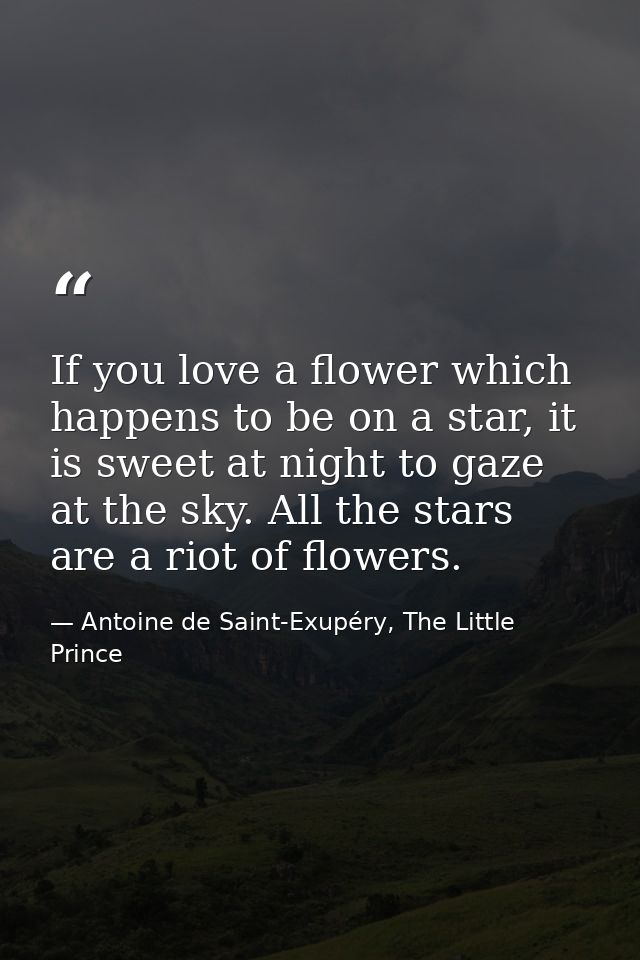 If you love a flower which happens to be on a star, it is sweet at night to gaze at the sky. All the stars are a riot of — Antoine de Saint-Exupéry, The Little Prince