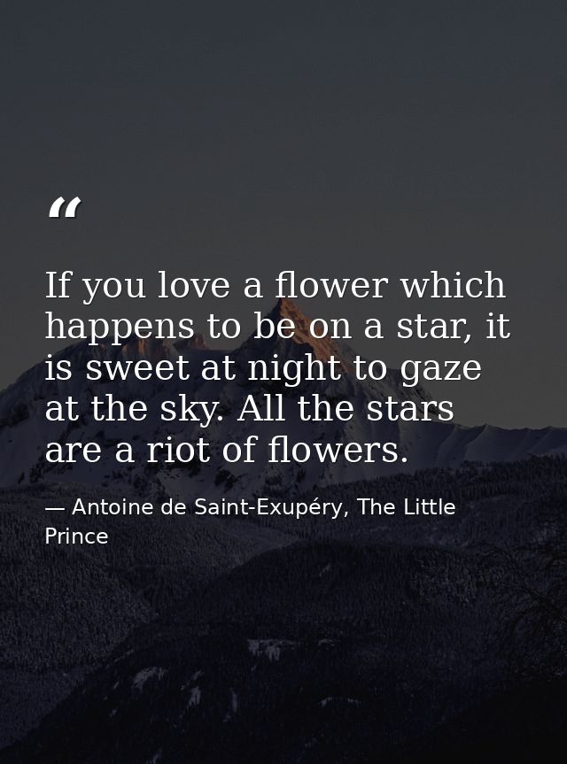 If you love a flower which happens to be on a star, it is sweet at night to gaze at the sky. All the stars are a riot of — Antoine de Saint-Exupéry, The Little Prince