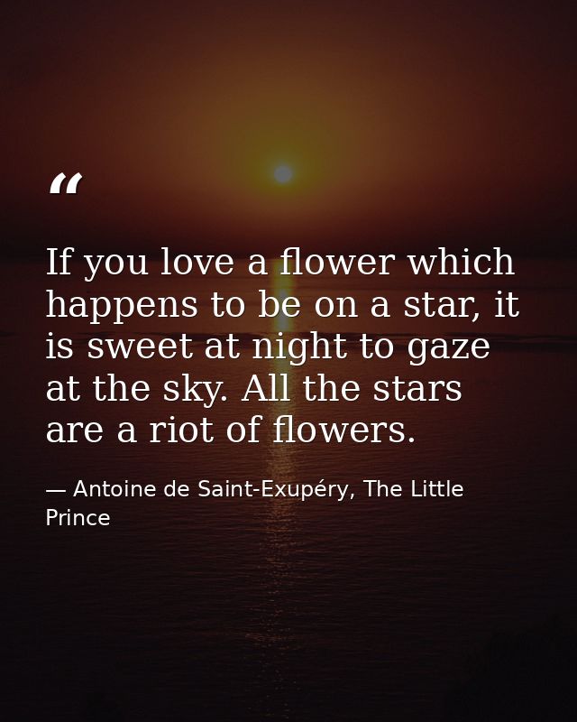If you love a flower which happens to be on a star, it is sweet at night to gaze at the sky. All the stars are a riot of — Antoine de Saint-Exupéry, The Little Prince