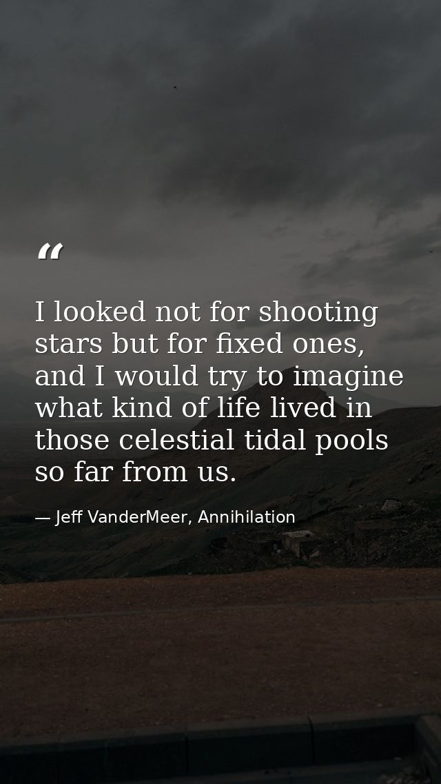 I looked not for shooting stars but for fixed ones, and I would try to imagine what kind of life lived in those celestia — Jeff VanderMeer, Annihilation