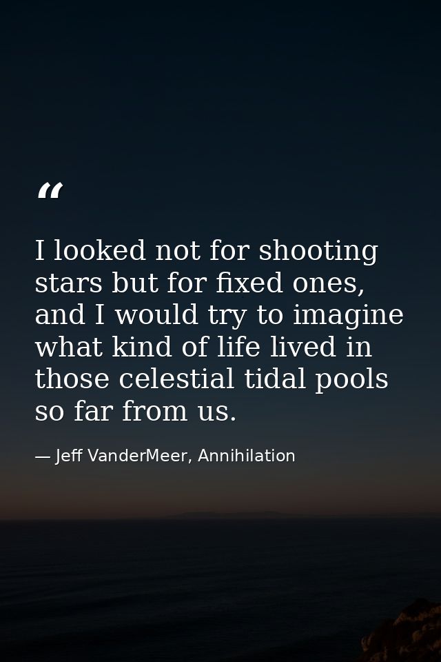 I looked not for shooting stars but for fixed ones, and I would try to imagine what kind of life lived in those celestia — Jeff VanderMeer, Annihilation
