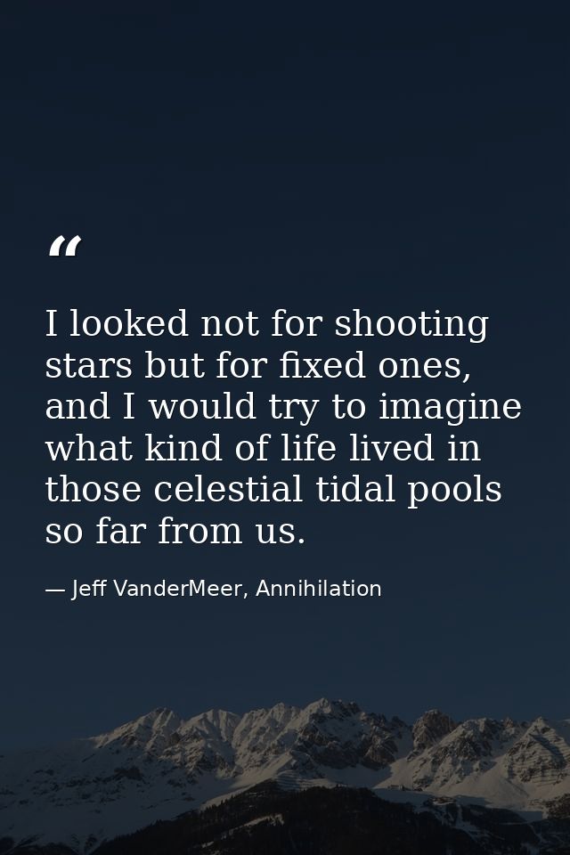 I looked not for shooting stars but for fixed ones, and I would try to imagine what kind of life lived in those celestia — Jeff VanderMeer, Annihilation