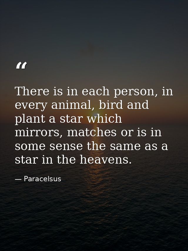 There is in each person, in every animal, bird and plant a star which mirrors, matches or is in some sense the same as a — Paracelsus