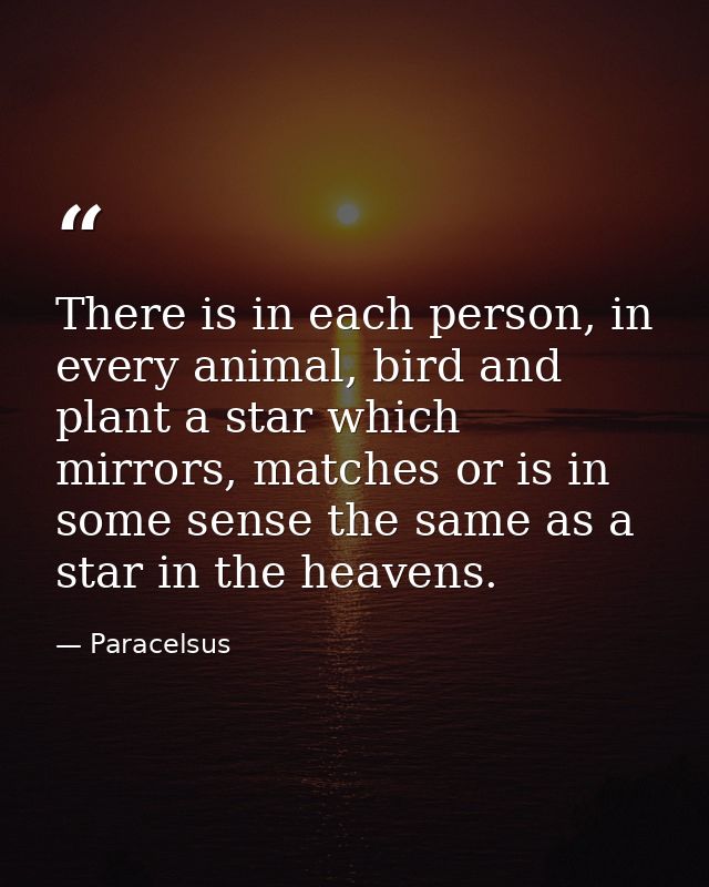 There is in each person, in every animal, bird and plant a star which mirrors, matches or is in some sense the same as a — Paracelsus