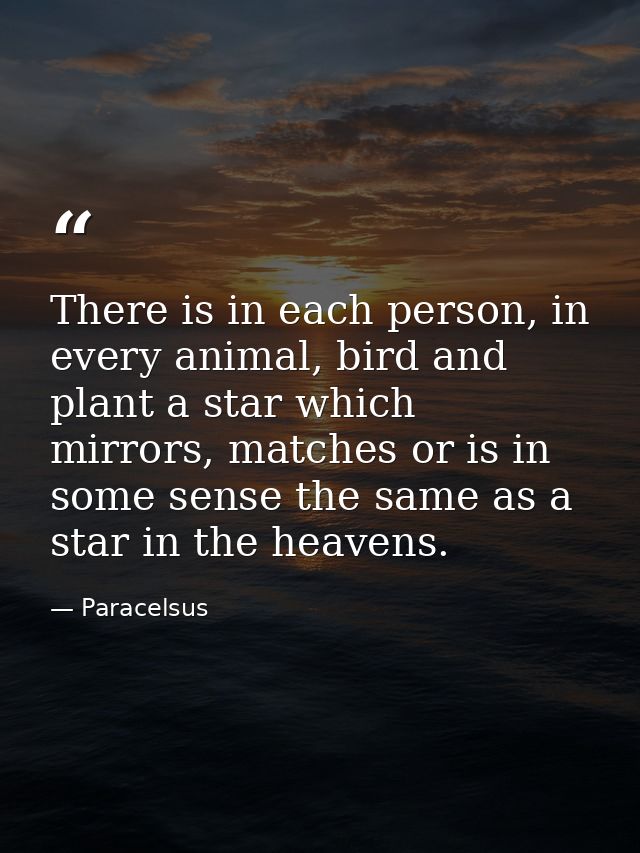 There is in each person, in every animal, bird and plant a star which mirrors, matches or is in some sense the same as a — Paracelsus