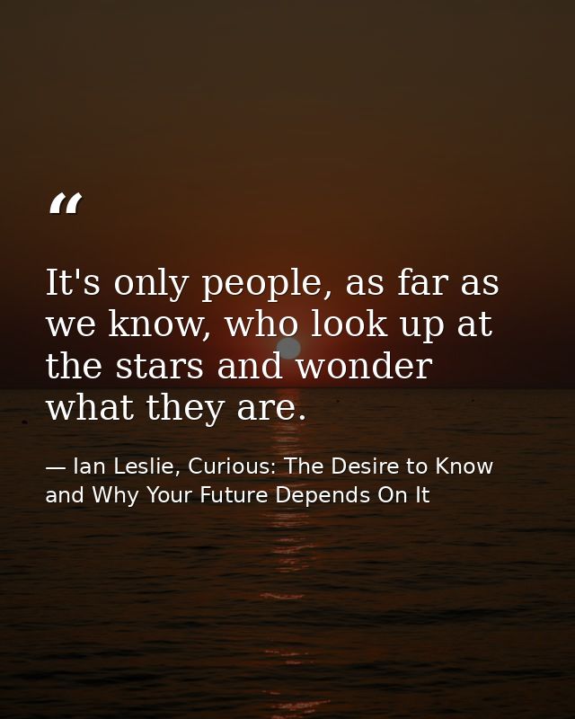 It's only people, as far as we know, who look up at the stars and wonder what they are. — Ian Leslie, Curious: The Desire to Know and Why Your Future Depends On It