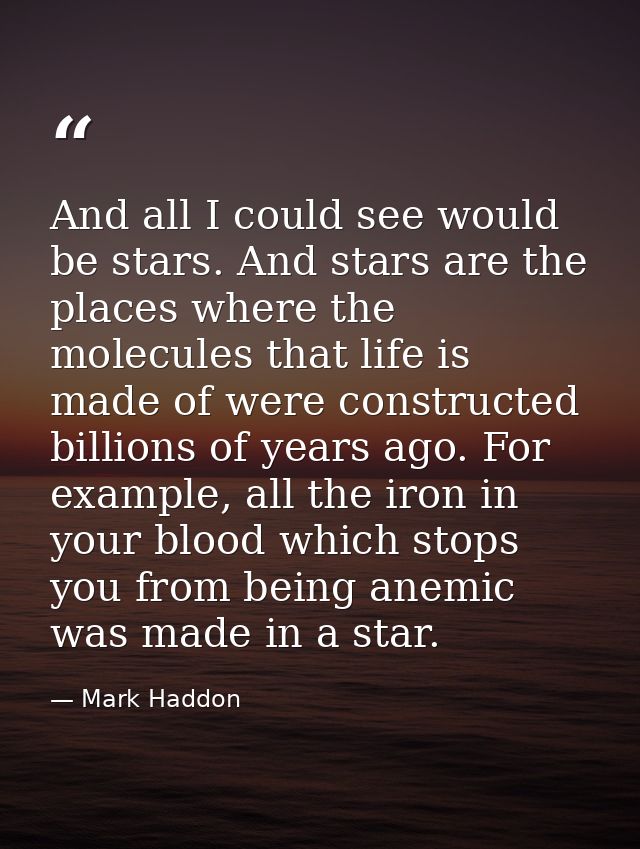 And all I could see would be stars. And stars are the places where the molecules that life is made of were constructed b — Mark Haddon