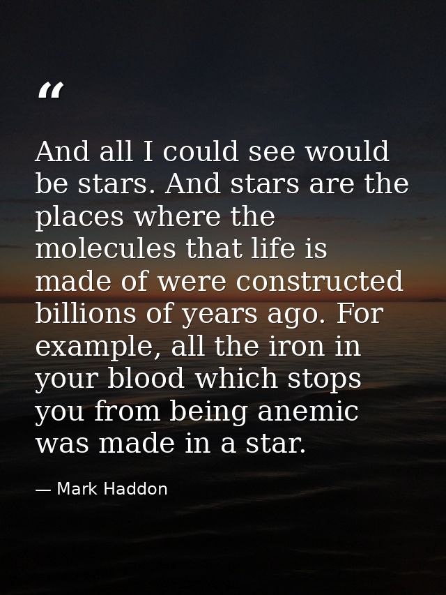 And all I could see would be stars. And stars are the places where the molecules that life is made of were constructed b — Mark Haddon