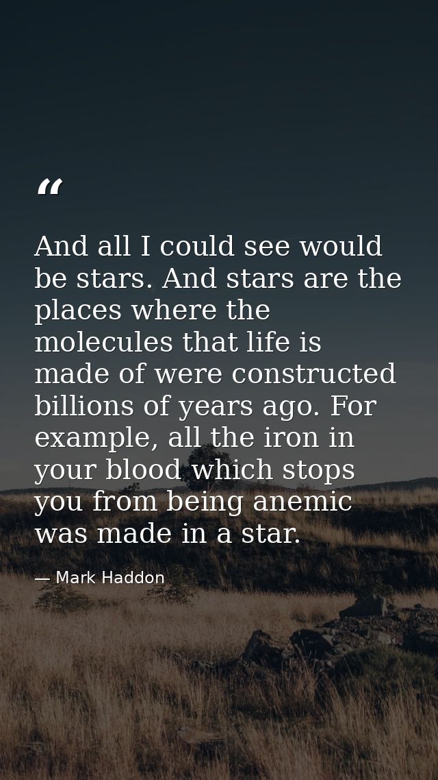 And all I could see would be stars. And stars are the places where the molecules that life is made of were constructed b — Mark Haddon