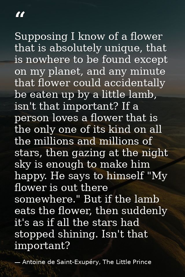 Supposing I know of a flower that is absolutely unique, that is nowhere to be found except on my planet, and any minute  — Antoine de Saint-Exupéry, The Little Prince