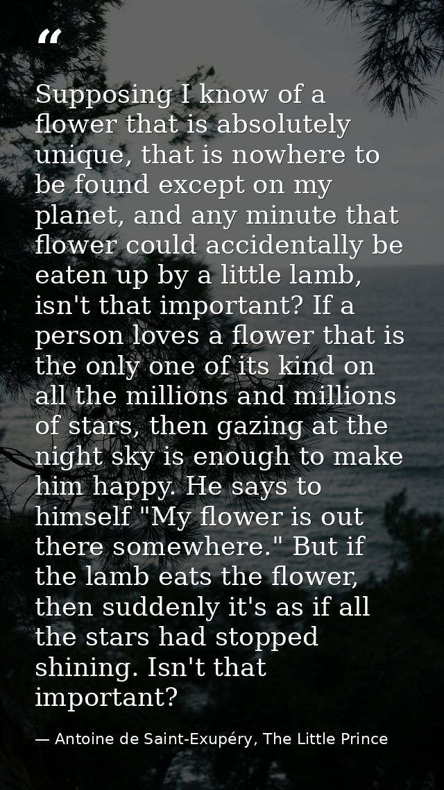 Supposing I know of a flower that is absolutely unique, that is nowhere to be found except on my planet, and any minute  — Antoine de Saint-Exupéry, The Little Prince