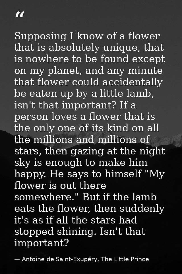 Supposing I know of a flower that is absolutely unique, that is nowhere to be found except on my planet, and any minute  — Antoine de Saint-Exupéry, The Little Prince