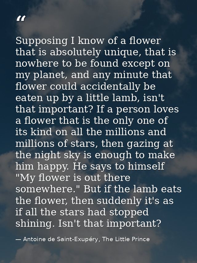 Supposing I know of a flower that is absolutely unique, that is nowhere to be found except on my planet, and any minute  — Antoine de Saint-Exupéry, The Little Prince