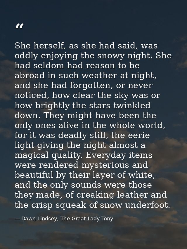 She herself, as she had said, was oddly enjoying the snowy night. She had seldom had reason to be abroad in such weather — Dawn Lindsey, The Great Lady Tony