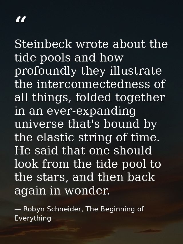 Steinbeck wrote about the tide pools and how profoundly they illustrate the interconnectedness of all things, folded tog — Robyn Schneider, The Beginning of Everything
