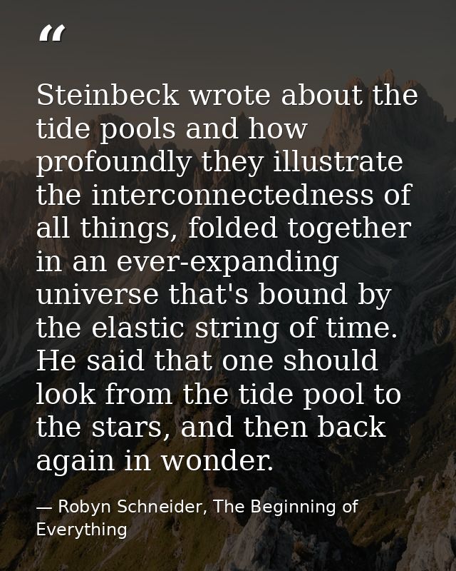 Steinbeck wrote about the tide pools and how profoundly they illustrate the interconnectedness of all things, folded tog — Robyn Schneider, The Beginning of Everything