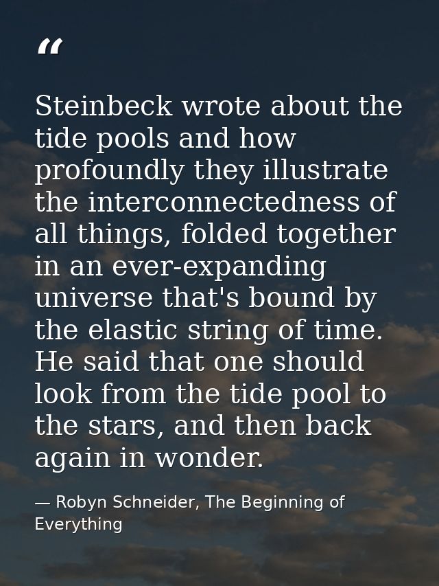 Steinbeck wrote about the tide pools and how profoundly they illustrate the interconnectedness of all things, folded tog — Robyn Schneider, The Beginning of Everything
