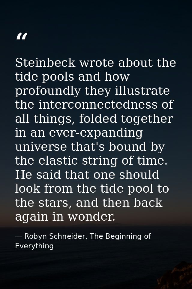 Steinbeck wrote about the tide pools and how profoundly they illustrate the interconnectedness of all things, folded tog — Robyn Schneider, The Beginning of Everything