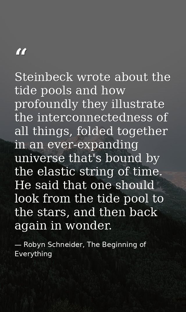 Steinbeck wrote about the tide pools and how profoundly they illustrate the interconnectedness of all things, folded tog — Robyn Schneider, The Beginning of Everything