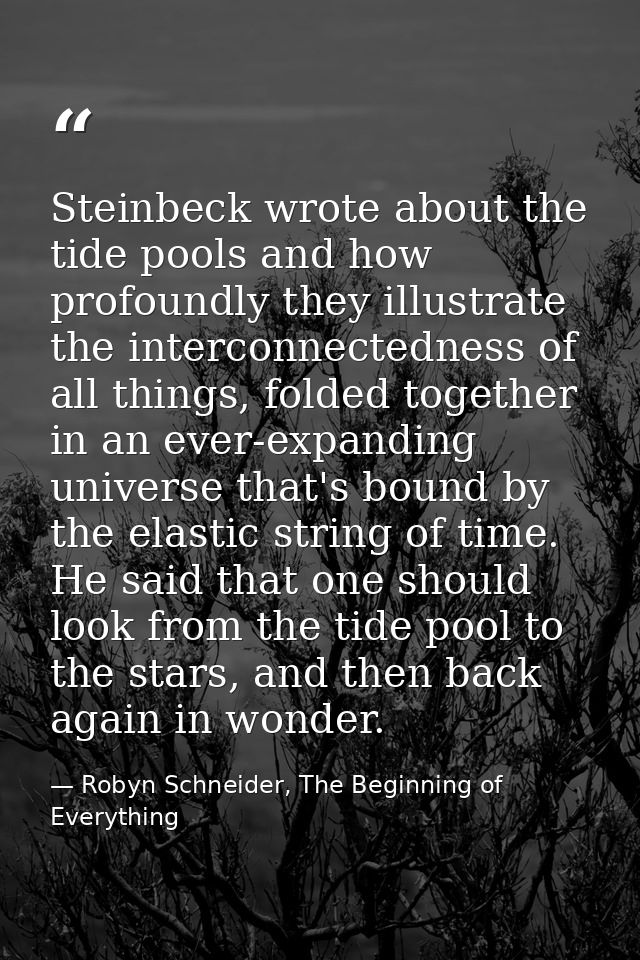 Steinbeck wrote about the tide pools and how profoundly they illustrate the interconnectedness of all things, folded tog — Robyn Schneider, The Beginning of Everything