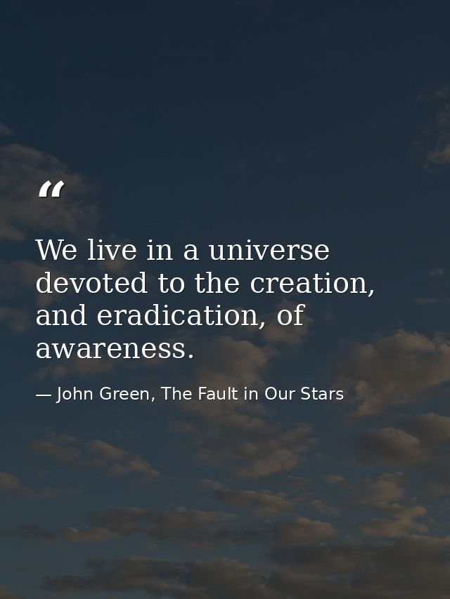 We live in a universe devoted to the creation, and eradication, of awareness. — John Green, The Fault in Our Stars