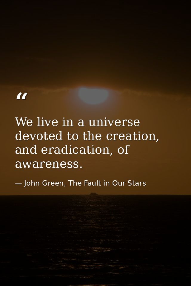 We live in a universe devoted to the creation, and eradication, of awareness. — John Green, The Fault in Our Stars