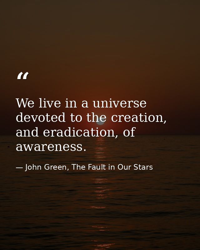 We live in a universe devoted to the creation, and eradication, of awareness. — John Green, The Fault in Our Stars