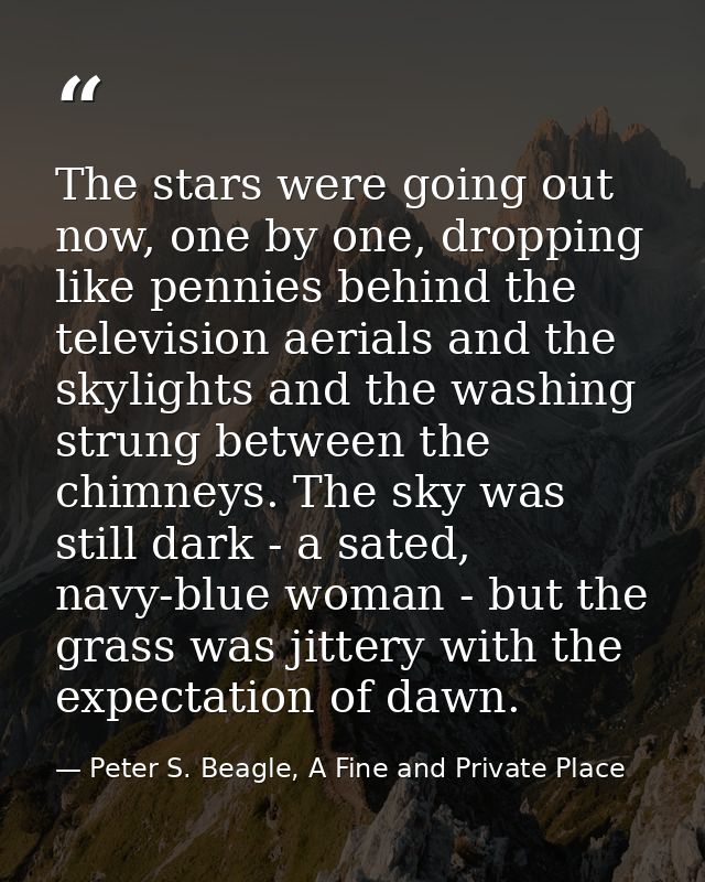 The stars were going out now, one by one, dropping like pennies behind the television aerials and the skylights and the  — Peter S. Beagle, A Fine and Private Place