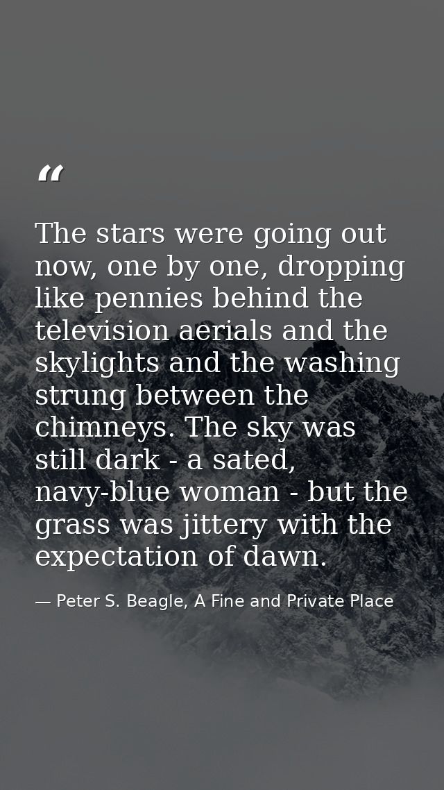 The stars were going out now, one by one, dropping like pennies behind the television aerials and the skylights and the  — Peter S. Beagle, A Fine and Private Place
