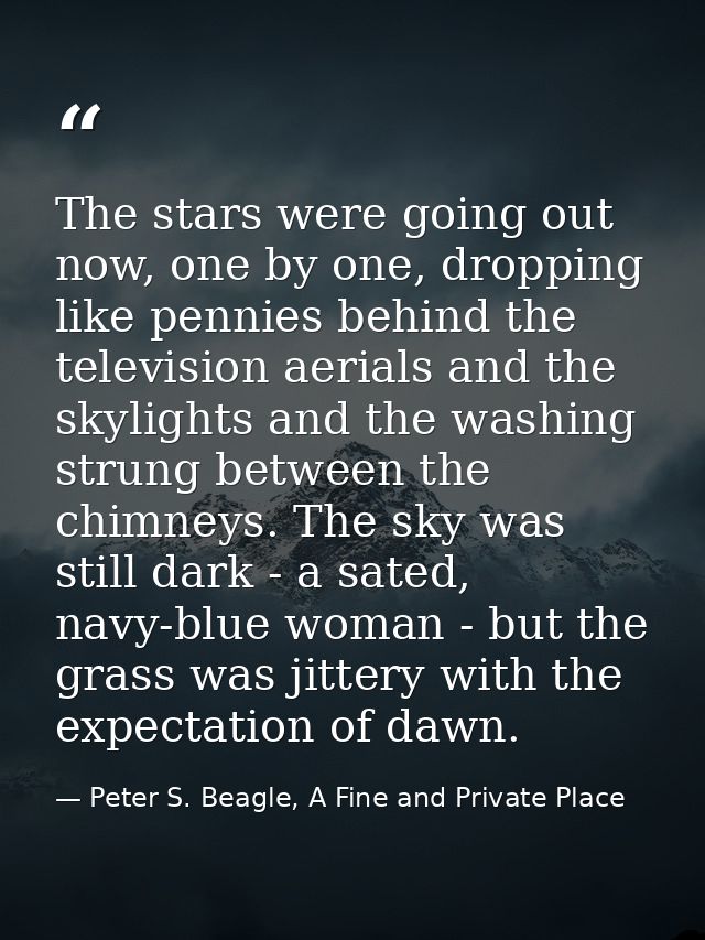 The stars were going out now, one by one, dropping like pennies behind the television aerials and the skylights and the  — Peter S. Beagle, A Fine and Private Place