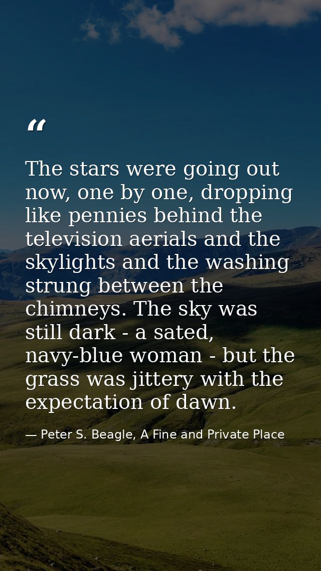 The stars were going out now, one by one, dropping like pennies behind the television aerials and the skylights and the  — Peter S. Beagle, A Fine and Private Place