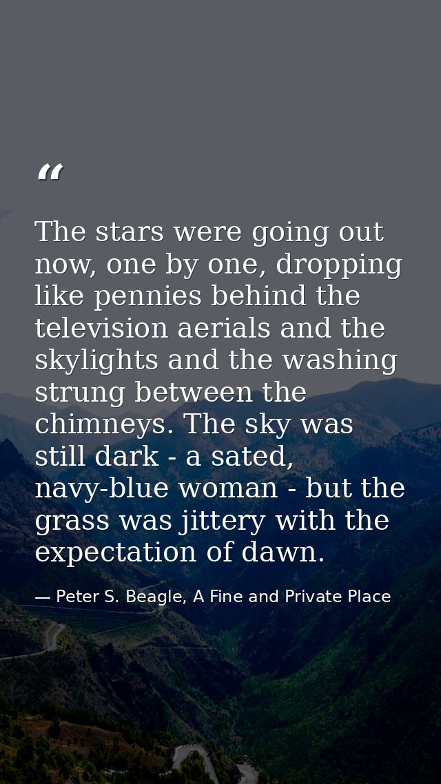 The stars were going out now, one by one, dropping like pennies behind the television aerials and the skylights and the  — Peter S. Beagle, A Fine and Private Place