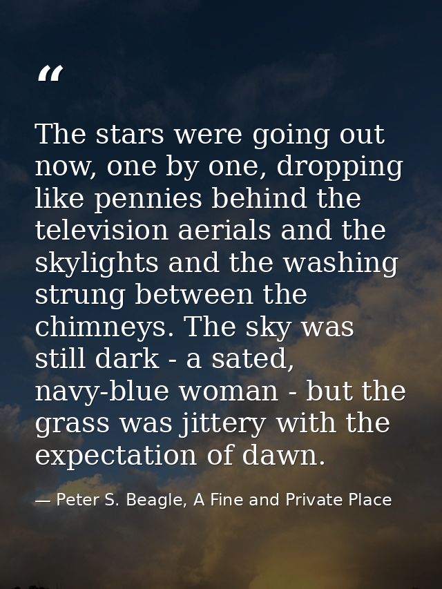 The stars were going out now, one by one, dropping like pennies behind the television aerials and the skylights and the  — Peter S. Beagle, A Fine and Private Place