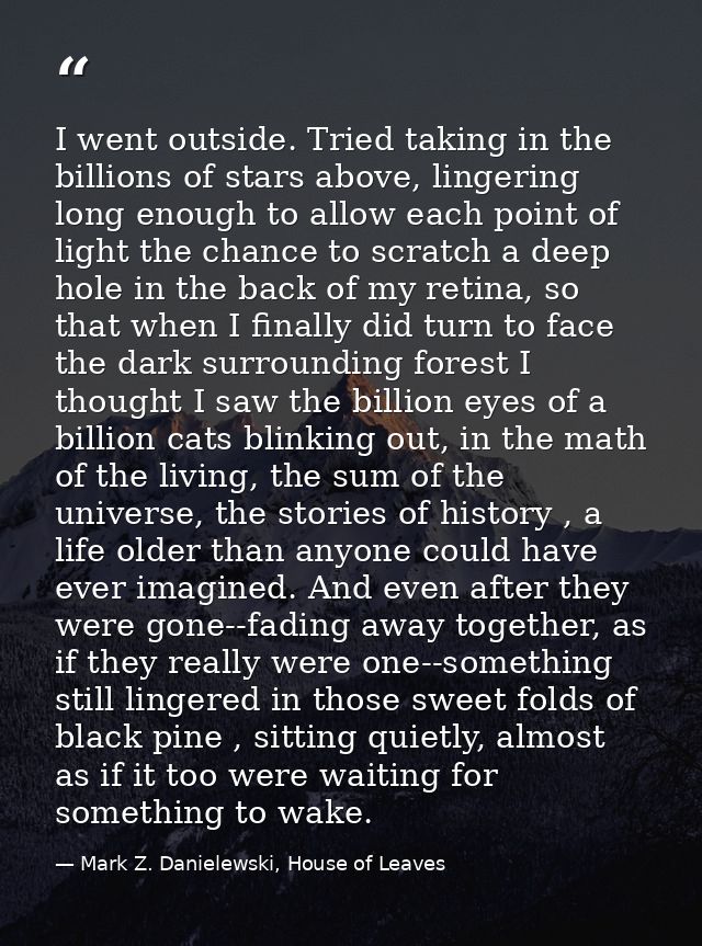 I went outside. Tried taking in the billions of stars above, lingering long enough to allow each point of light the chan — Mark Z. Danielewski, House of Leaves