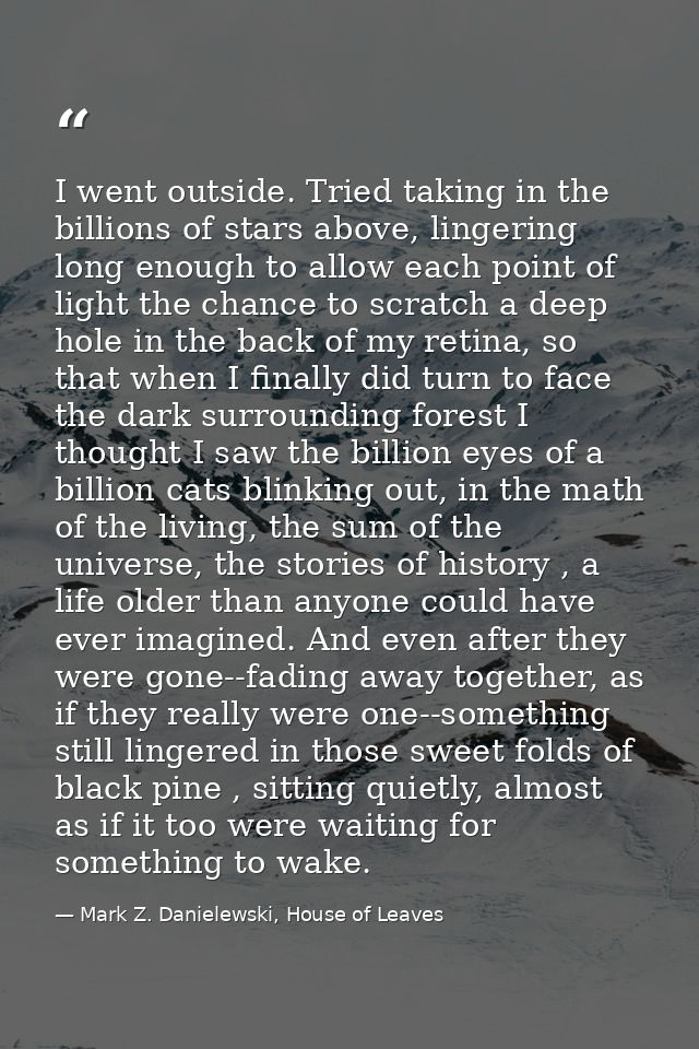 I went outside. Tried taking in the billions of stars above, lingering long enough to allow each point of light the chan — Mark Z. Danielewski, House of Leaves