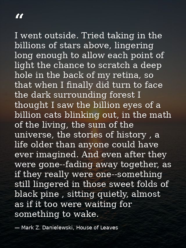 I went outside. Tried taking in the billions of stars above, lingering long enough to allow each point of light the chan — Mark Z. Danielewski, House of Leaves
