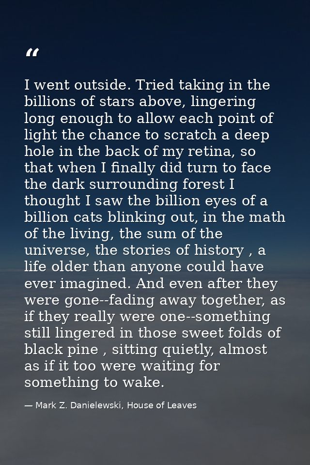 I went outside. Tried taking in the billions of stars above, lingering long enough to allow each point of light the chan — Mark Z. Danielewski, House of Leaves
