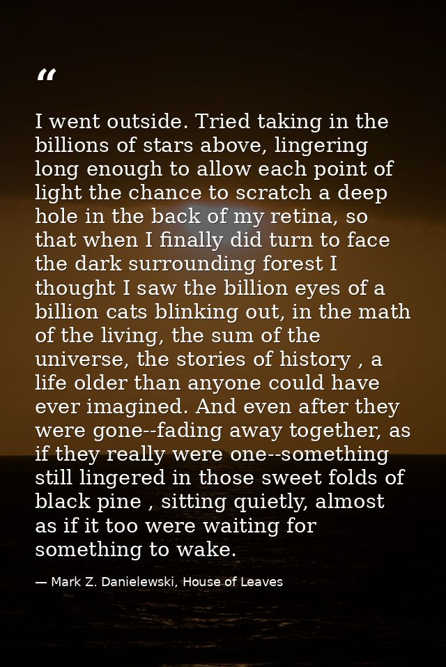 I went outside. Tried taking in the billions of stars above, lingering long enough to allow each point of light the chan — Mark Z. Danielewski, House of Leaves