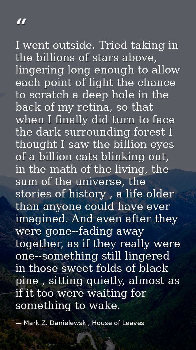 I went outside. Tried taking in the billions of stars above, lingering long enough to allow each point of light the chan — Mark Z. Danielewski, House of Leaves
