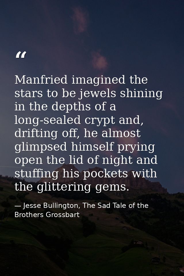 Manfried imagined the stars to be jewels shining in the depths of a long-sealed crypt and, drifting off, he almost glimp — Jesse Bullington, The Sad Tale of the Brothers Grossbart
