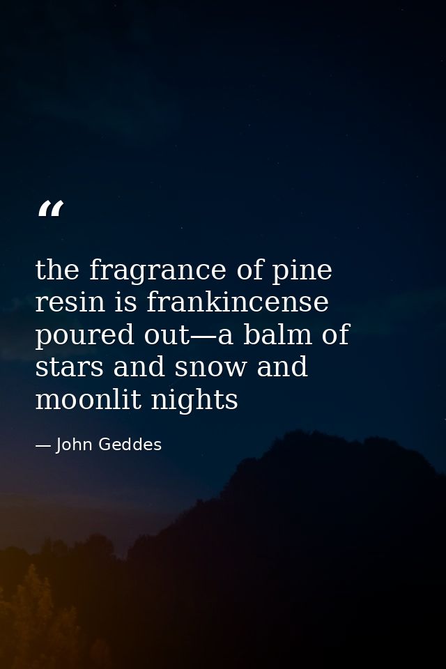 the fragrance of pine resin is frankincense poured out—a balm of stars and snow and moonlit nights — John Geddes