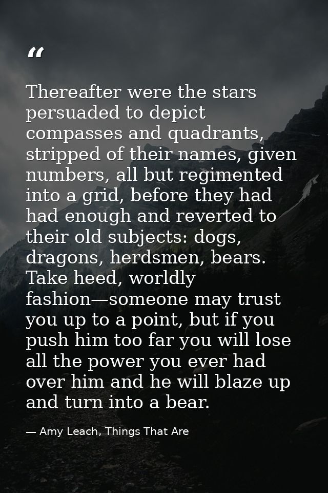 Thereafter were the stars persuaded to depict compasses and quadrants, stripped of their names, given numbers, all but r — Amy Leach, Things That Are
