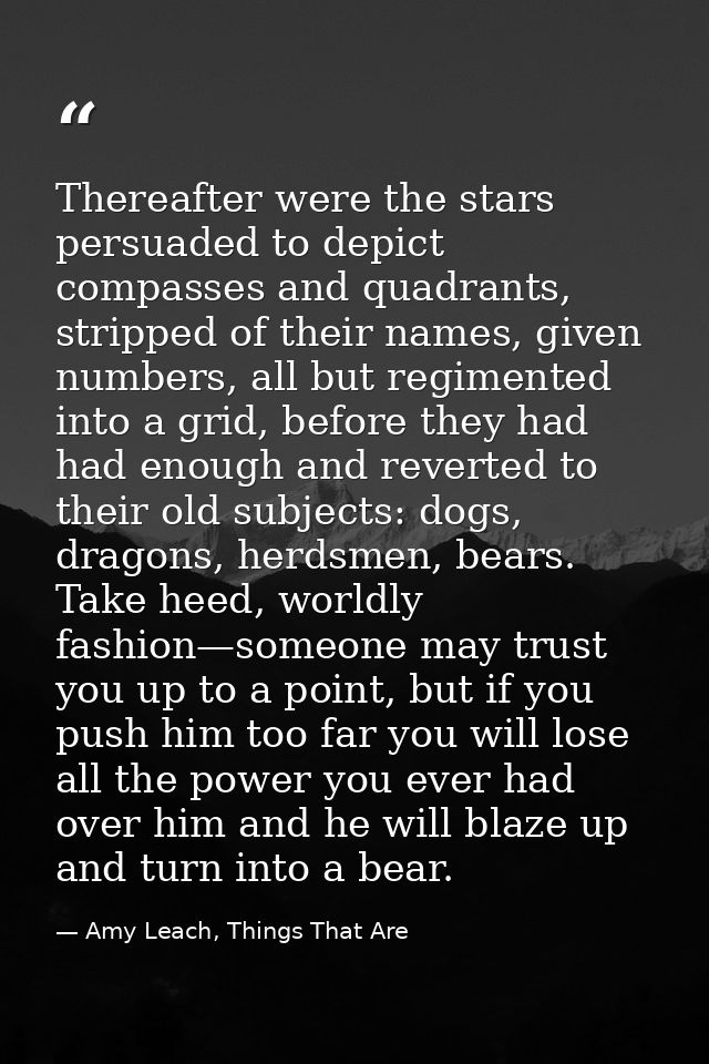 Thereafter were the stars persuaded to depict compasses and quadrants, stripped of their names, given numbers, all but r — Amy Leach, Things That Are
