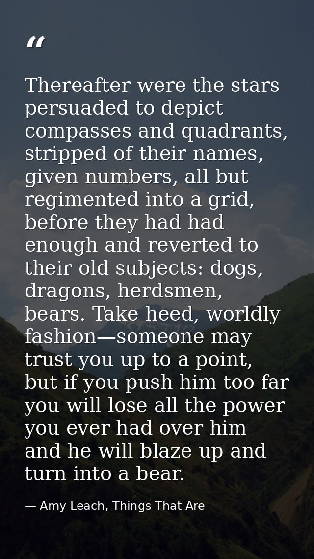 Thereafter were the stars persuaded to depict compasses and quadrants, stripped of their names, given numbers, all but r — Amy Leach, Things That Are