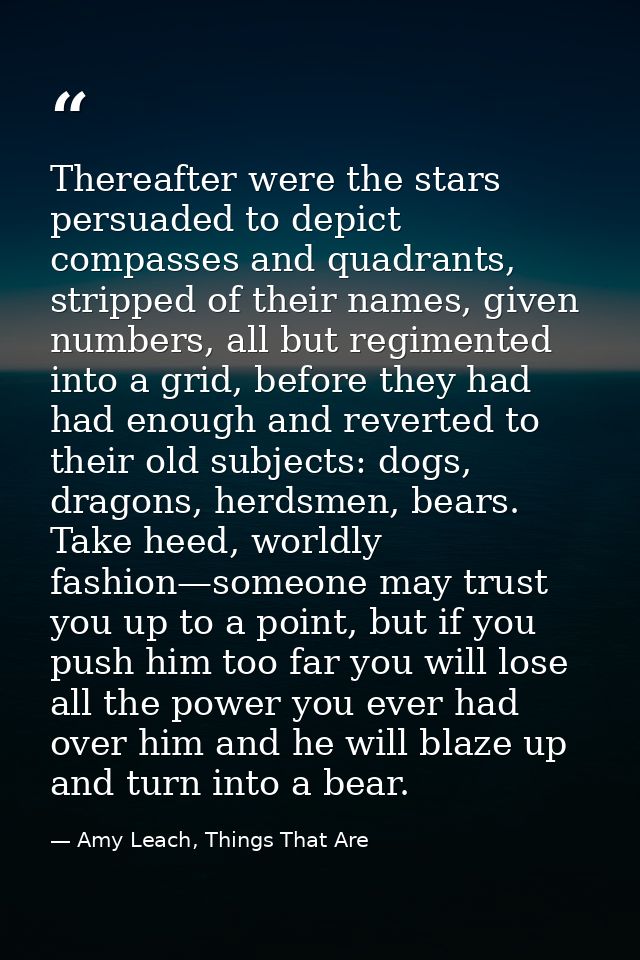 Thereafter were the stars persuaded to depict compasses and quadrants, stripped of their names, given numbers, all but r — Amy Leach, Things That Are