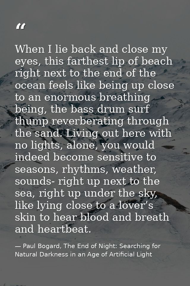 When I lie back and close my eyes, this farthest lip of beach right next to the end of the ocean feels like being up clo — Paul Bogard, The End of Night: Searching for Natural Darkness in an Age of Artificial Light