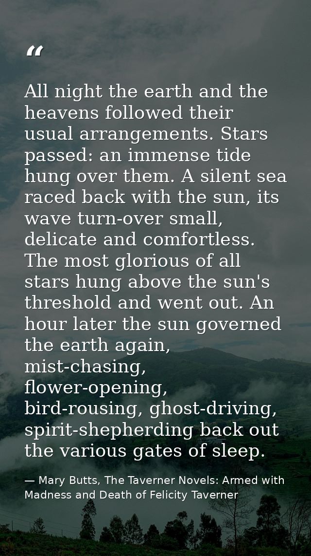 All night the earth and the heavens followed their usual arrangements. Stars passed: an immense tide hung over them. A s — Mary Butts, The Taverner Novels: Armed with Madness and Death of Felicity Taverner