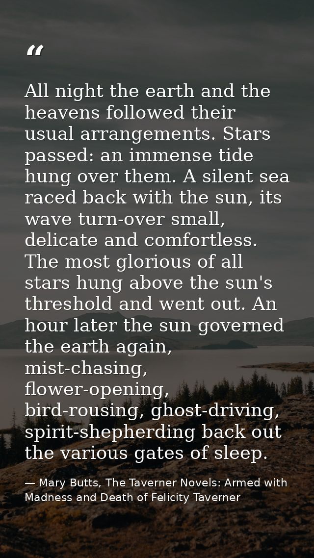 All night the earth and the heavens followed their usual arrangements. Stars passed: an immense tide hung over them. A s — Mary Butts, The Taverner Novels: Armed with Madness and Death of Felicity Taverner
