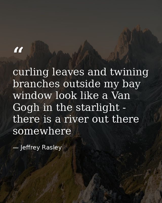 curling leaves and twining branches outside my bay window look like a Van Gogh in the starlight - there is a river out t — Jeffrey Rasley